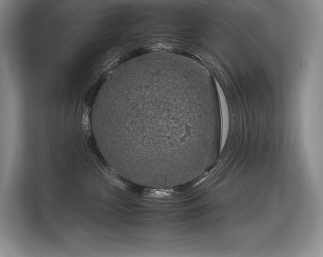 X0000113310573200909211144