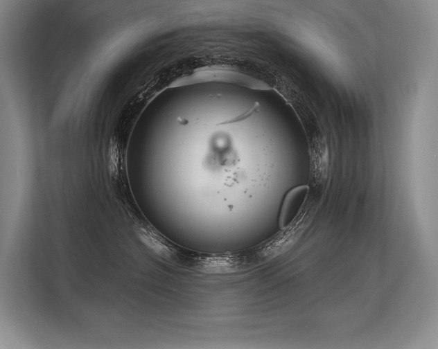 X0000113310574200909211144