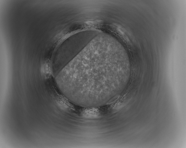 X0000113310576200909211144