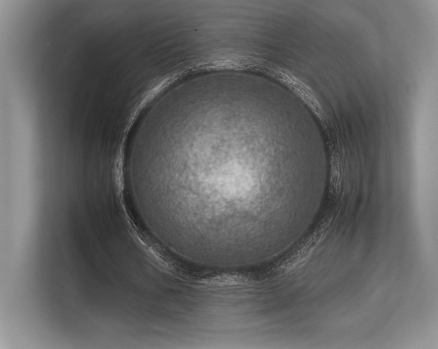 X0000113310578200909211144