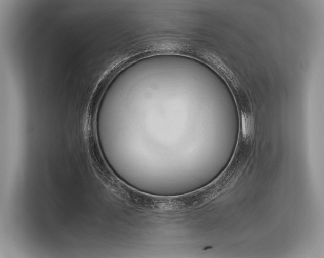 X0000113310579200909211144