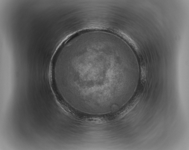 X0000113310580200909211144