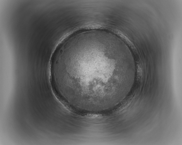 X0000113310582200909211144