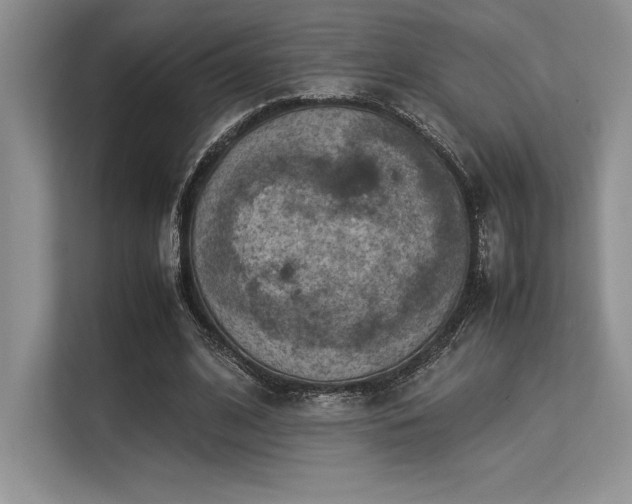 X0000113310584200909211144