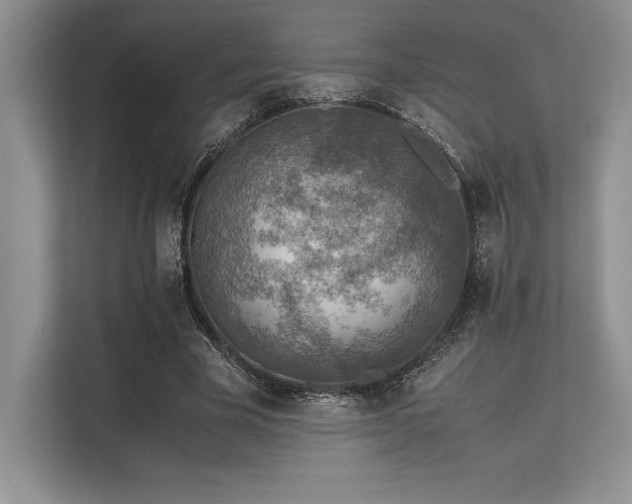 X0000113310585200909211144