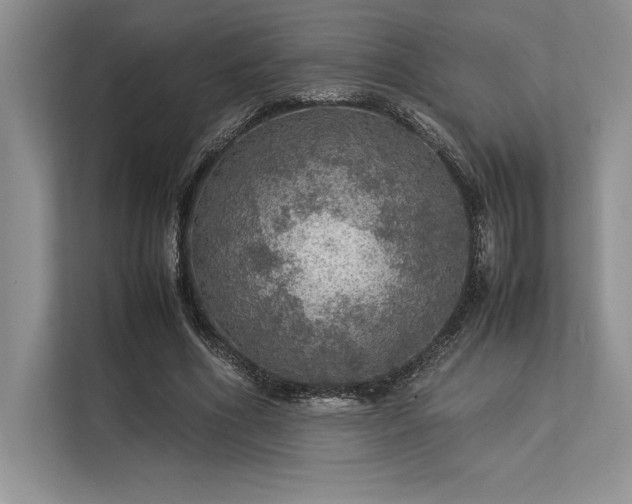 X0000113310586200909211144