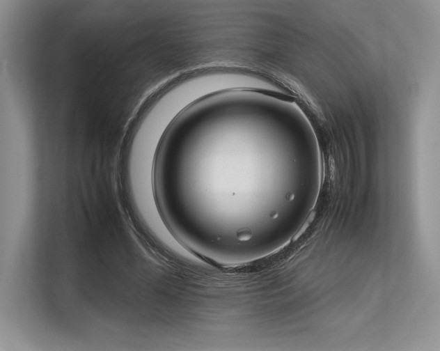 X0000113310588200909211144