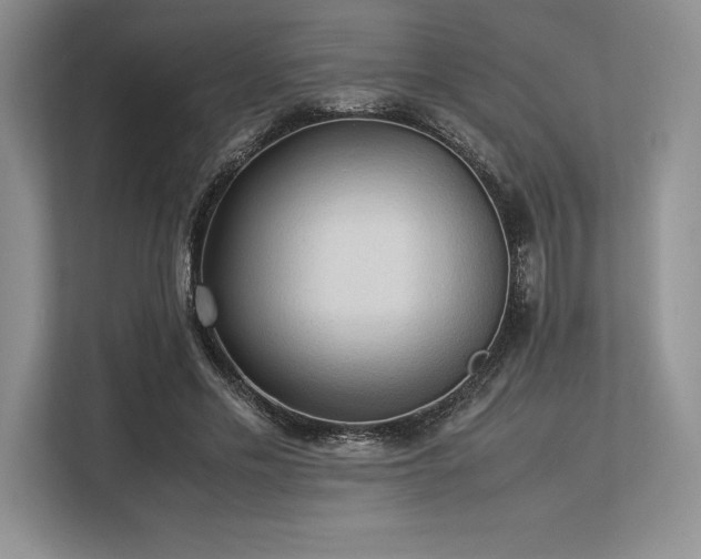 X0000113310589200909211144