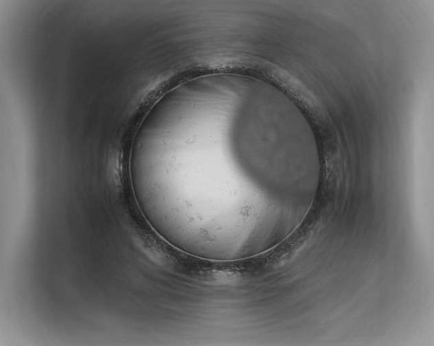 X0000113310592200909211144