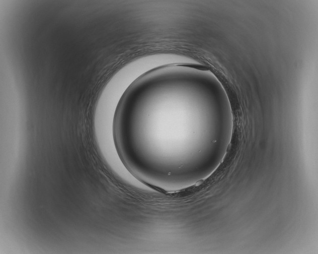 X0000113310593200909211143