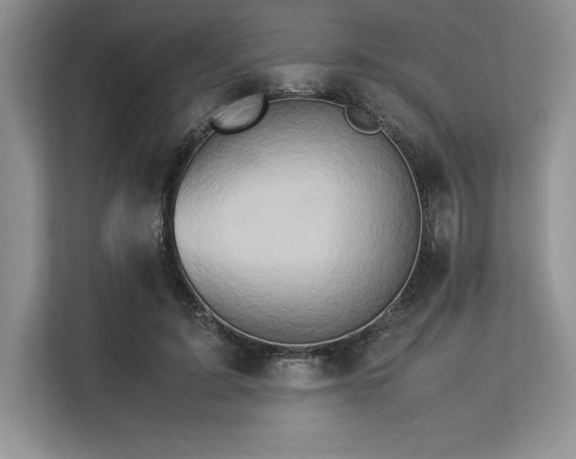 X0000113310595200909211143