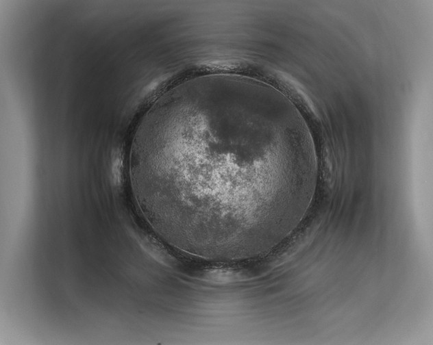 X0000113310596200909211143