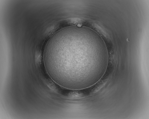 X0000113310597200909211143