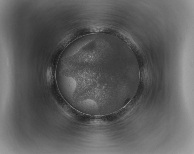 X0000113310598200909211143