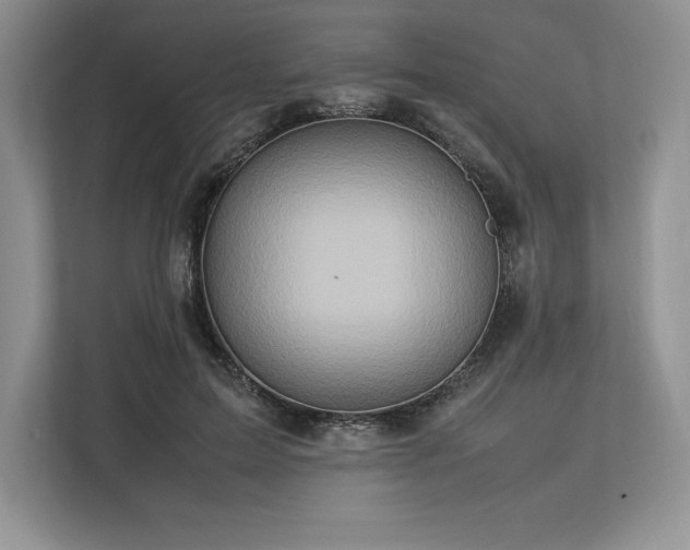 X0000113310599200909211143