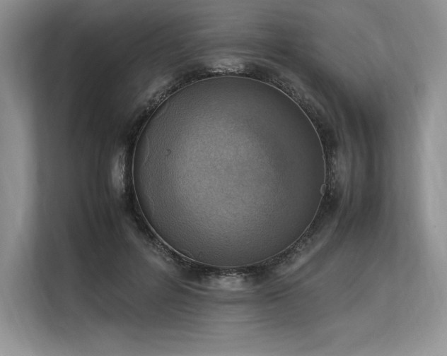 X0000113310600200909211143