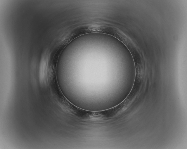 X0000113310603200909211143