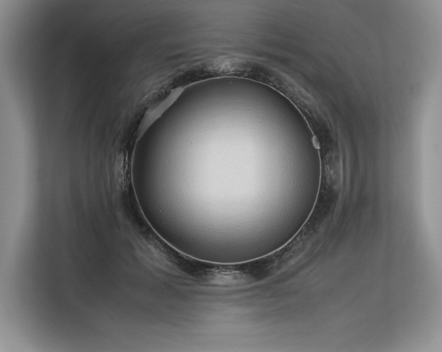 X0000113310605200909211143