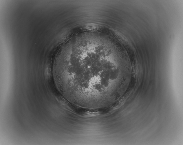 X0000113310606200909211143