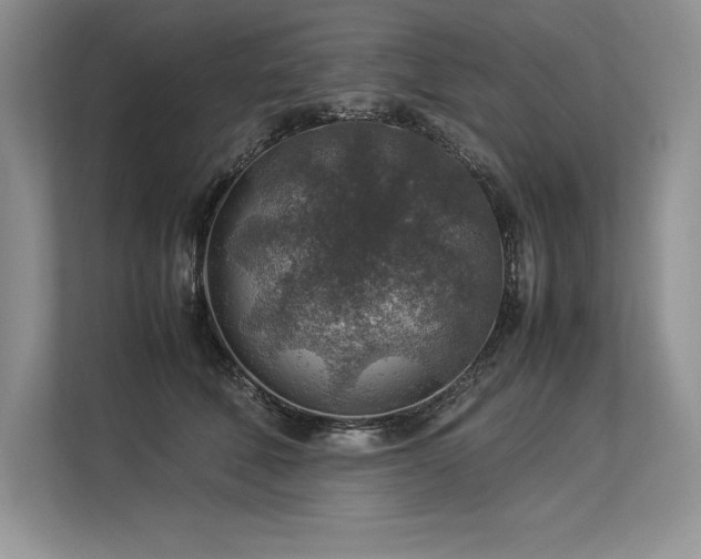 X0000113310610200909211143