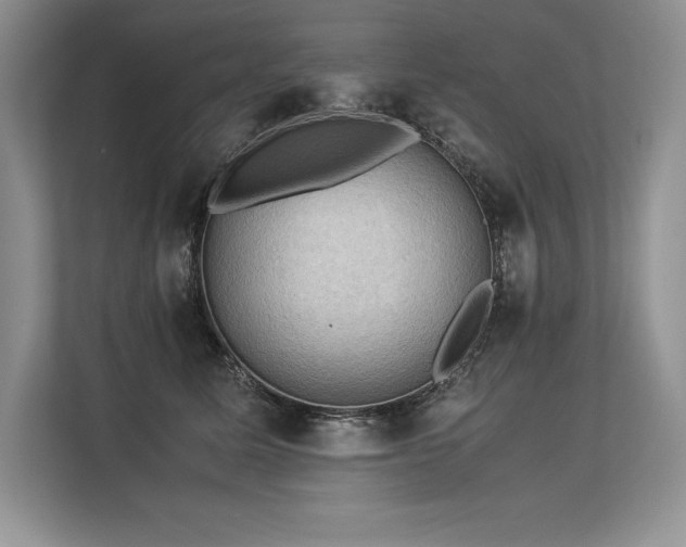 X0000113310611200909211143