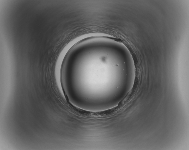 X0000113310613200909211143