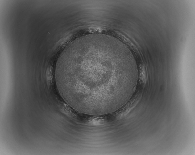 X0000113310616200909211143