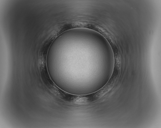 X0000113310617200909211143