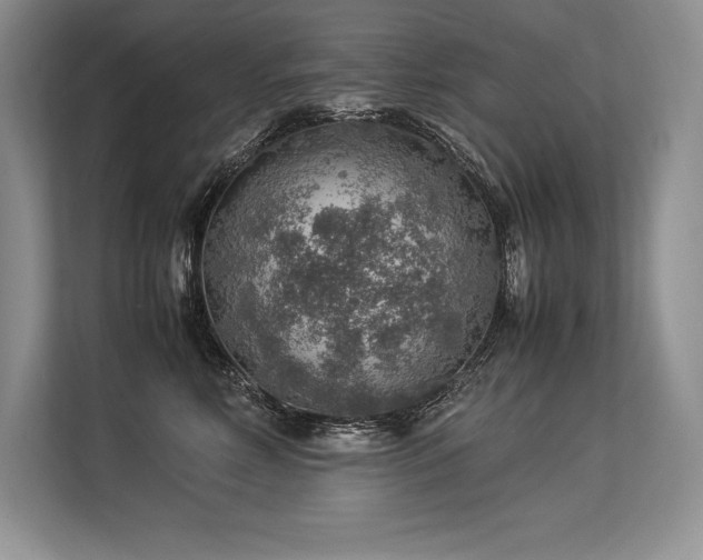 X0000113310618200909211143