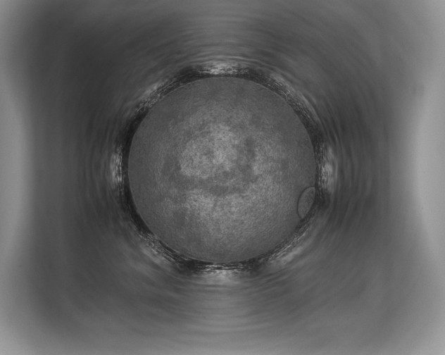 X0000113310620200909211143