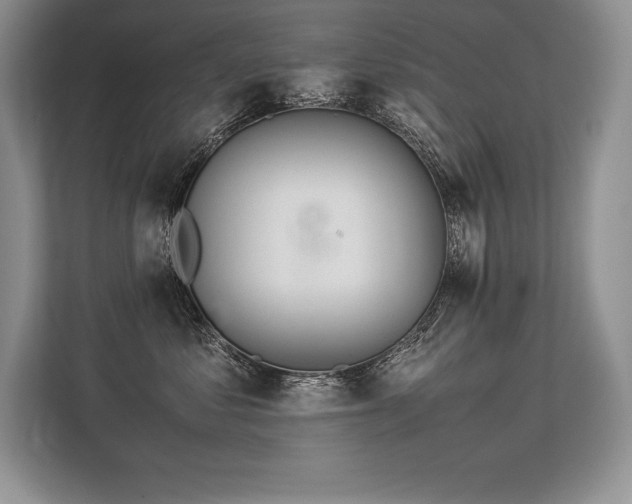 X0000113310621200909211143