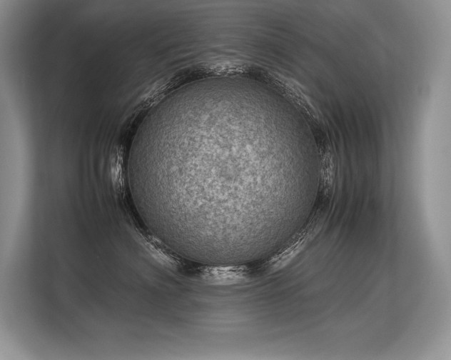 X0000113310622200909211143