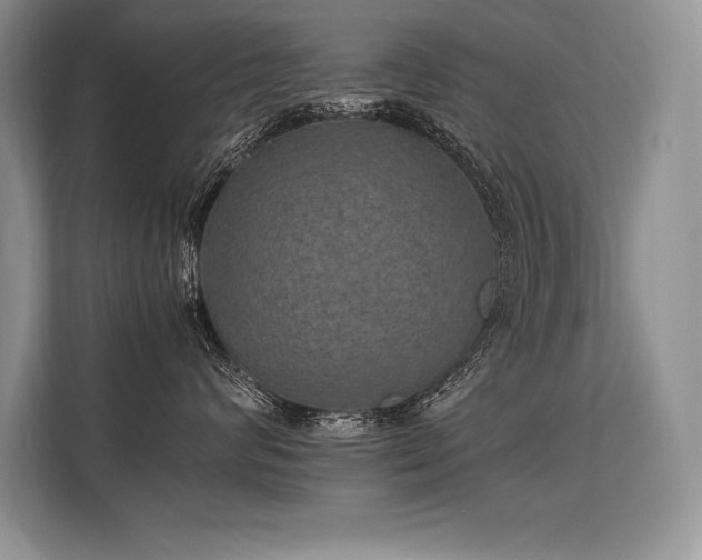 X0000113310624200909211143