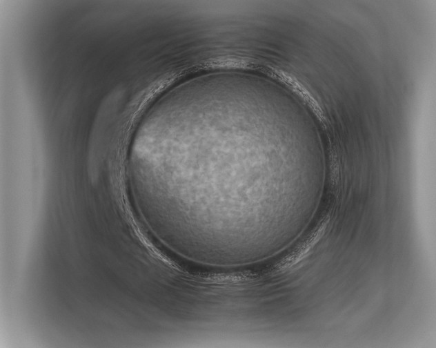 X0000113310625200909211142