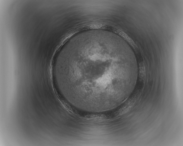 X0000113310626200909211142