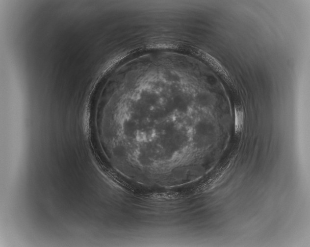 X0000113310627200909211142