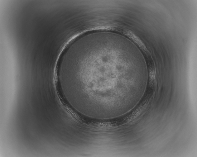 X0000113310628200909211143