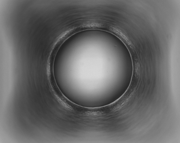 X0000113310629200909211143