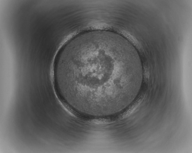 X0000113310630200909211143