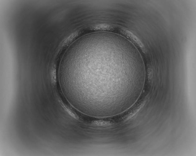 X0000113310633200909211143