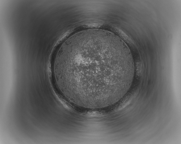 X0000113310634200909211143