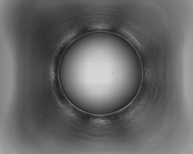 X0000113310635200909211143