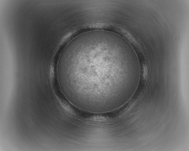 X0000113310636200909211143