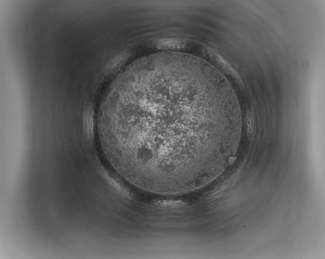 X0000113310637200909211143