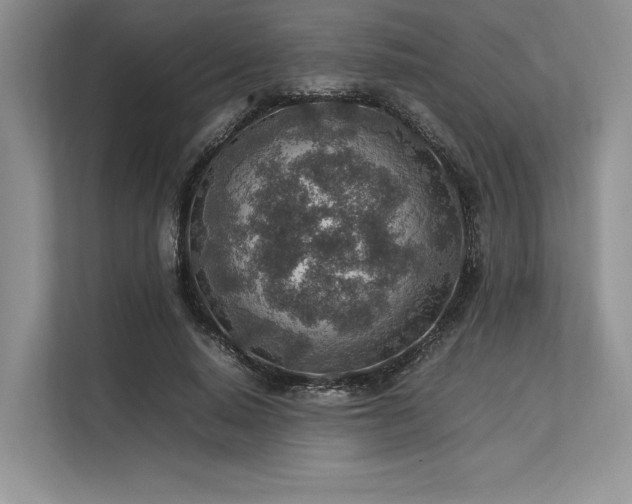 X0000113310640200909211143