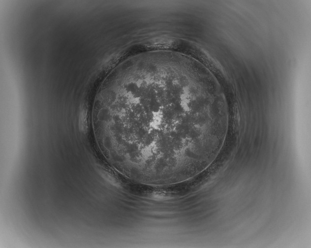 X0000113310641200909211143