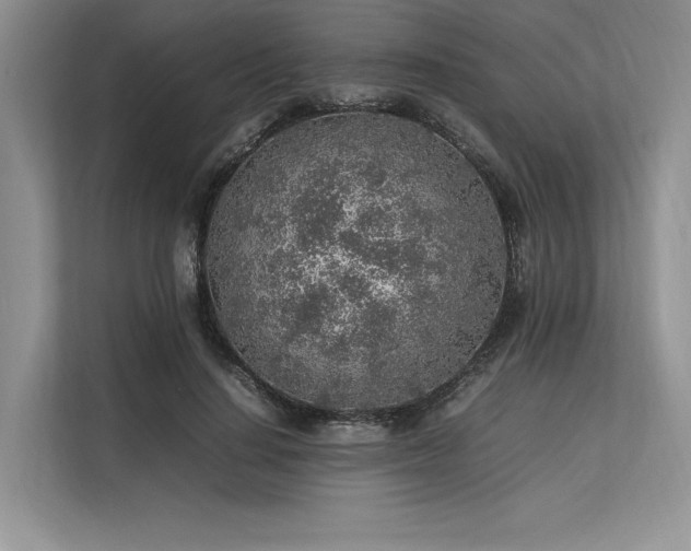 X0000113310644200909211143