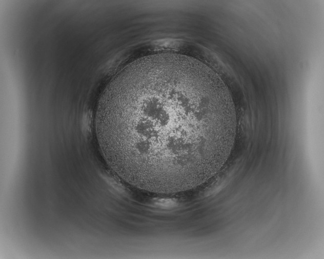 X0000113310649200909211143