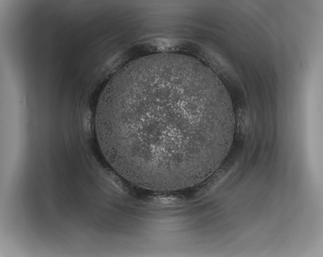 X0000113310650200909211143