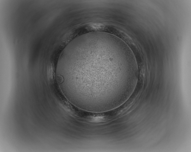 X0000113310651200909211143